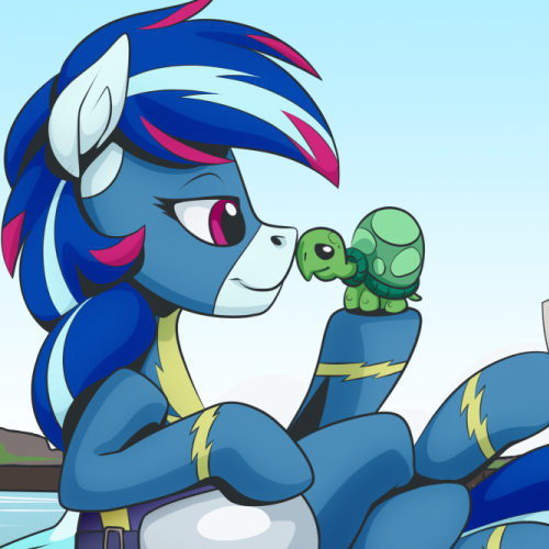 Pony and Tortoise