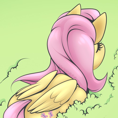 Fluttershy Field