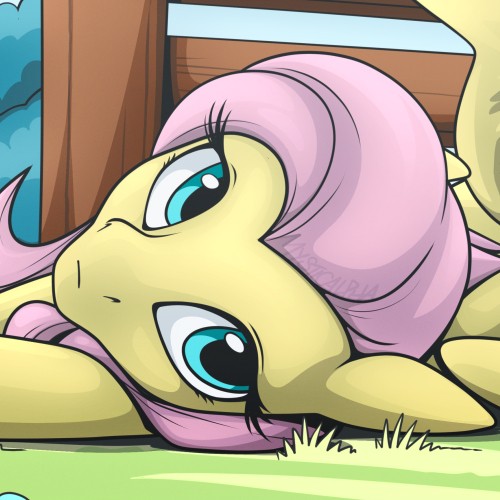 Fluttershy Lounge 2